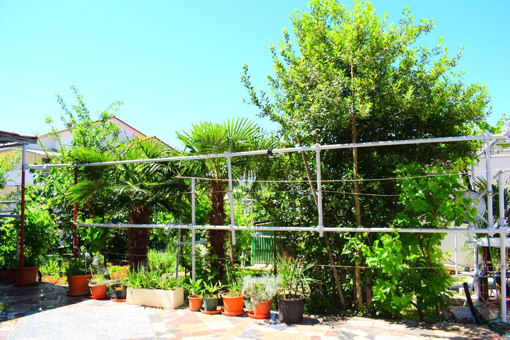 Apartments Milica Malinska Phòng bức ảnh